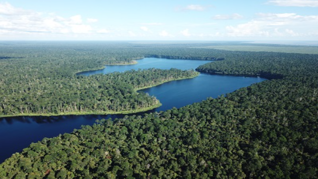 Menjelajahi Keindahan dan Keanekaragaman Hayati Suaka Margasatwa Danau Pulau Besar-Bawah